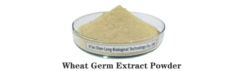 Wheat GermPowder.jpg